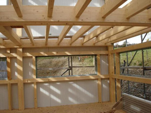 Timber beam structure